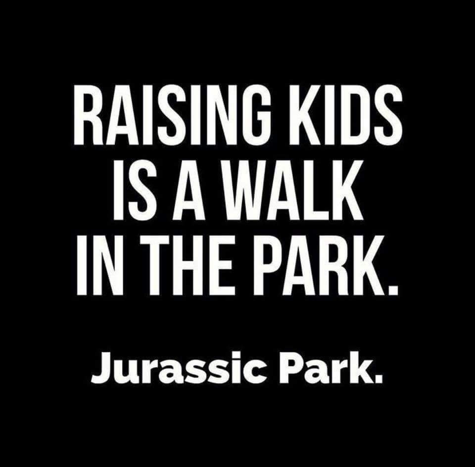FB_IMG_1525262938674.jpg