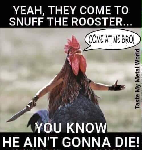 FB_IMG_1558114298194.jpg