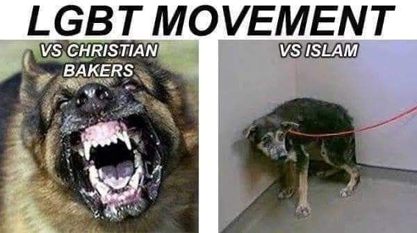 FB_IMG_1560800682543.jpg