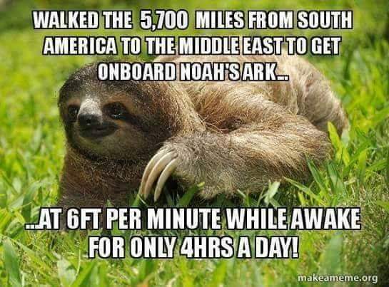 FB_IMG_1563598956552.jpg