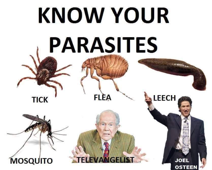 FB_IMG_1564468394253.jpg