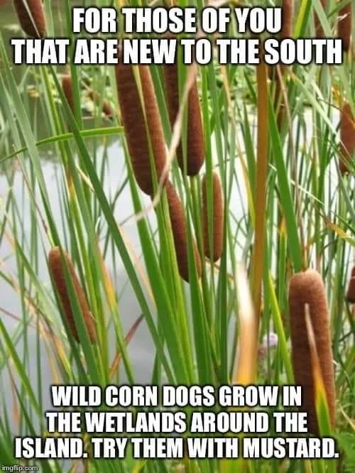 FB_IMG_1620327715537.jpg