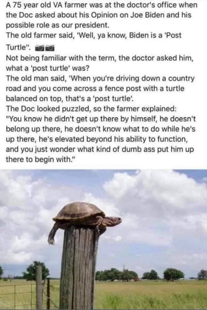 FB_IMG_1622506417588.jpg