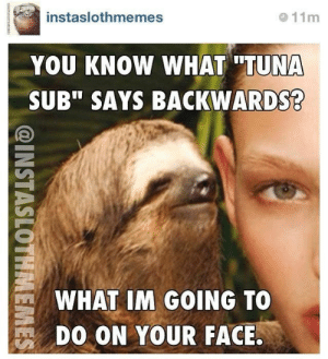 FD600D2D-3969-49C0-A936-9E9CE4D6CF2D.png