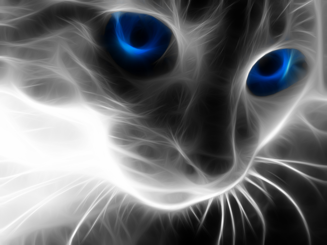 FD7B7B8E-CE49-4D53-809B-B84DDB6A93BC.png
