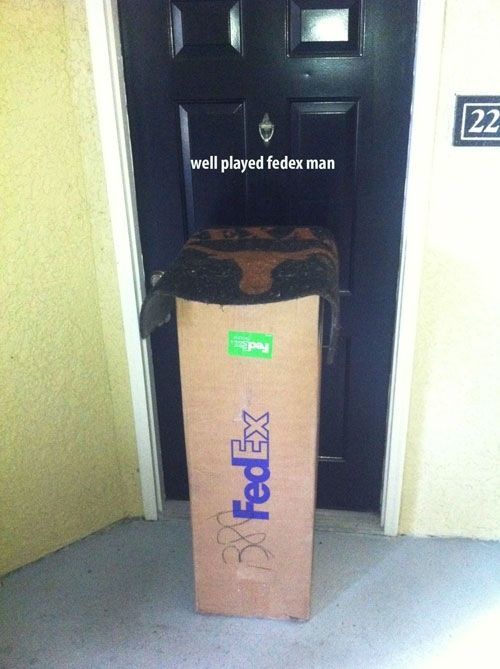 fedexdelivery.jpg