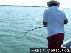 fishing-fail-o.gif