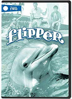 flipper.jpg