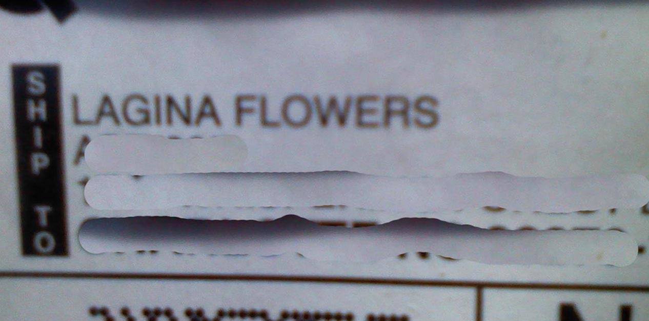 flowers.jpg