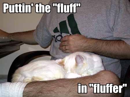fluffer2.jpg
