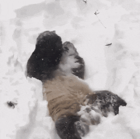forever-23.gif