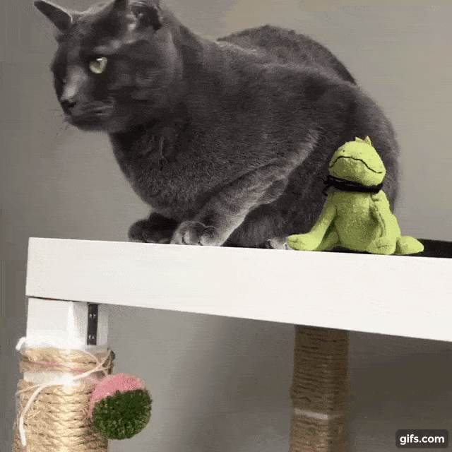 frog slap.gif