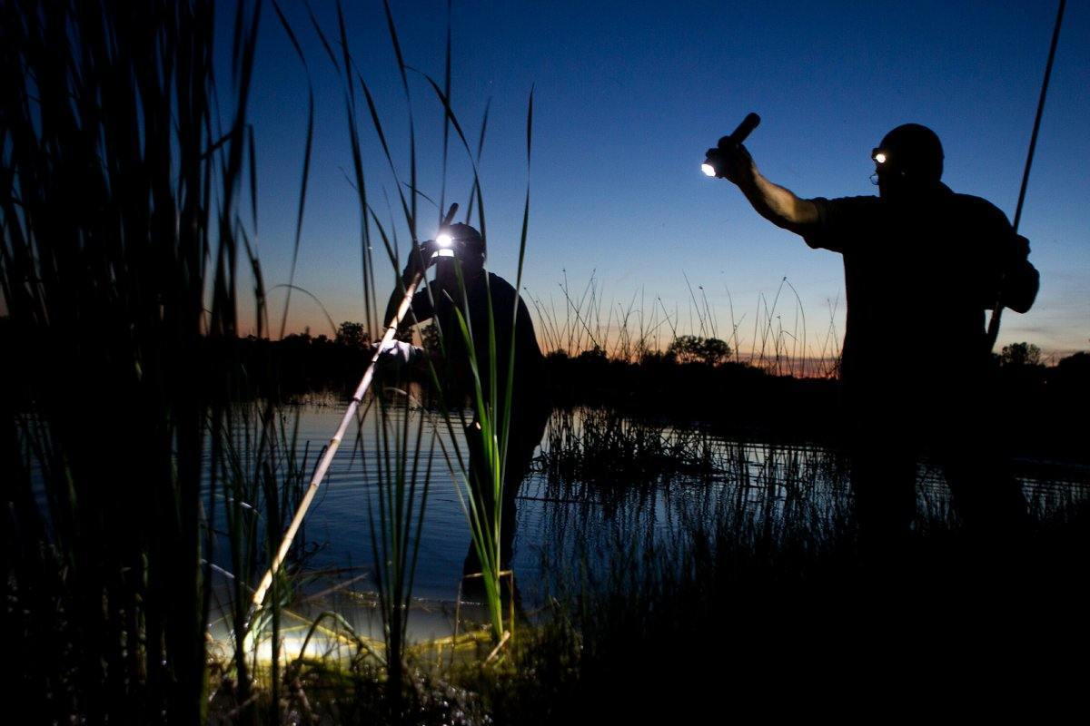 frog_gigging-35.jpg