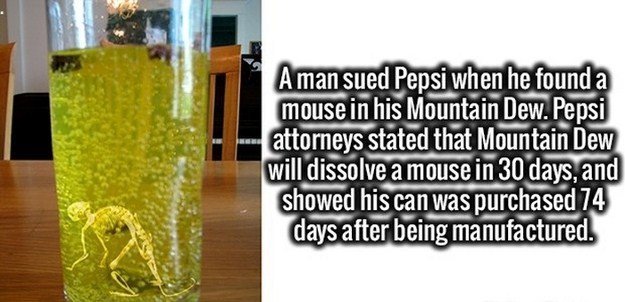 Fun-Facts-01-1.jpg