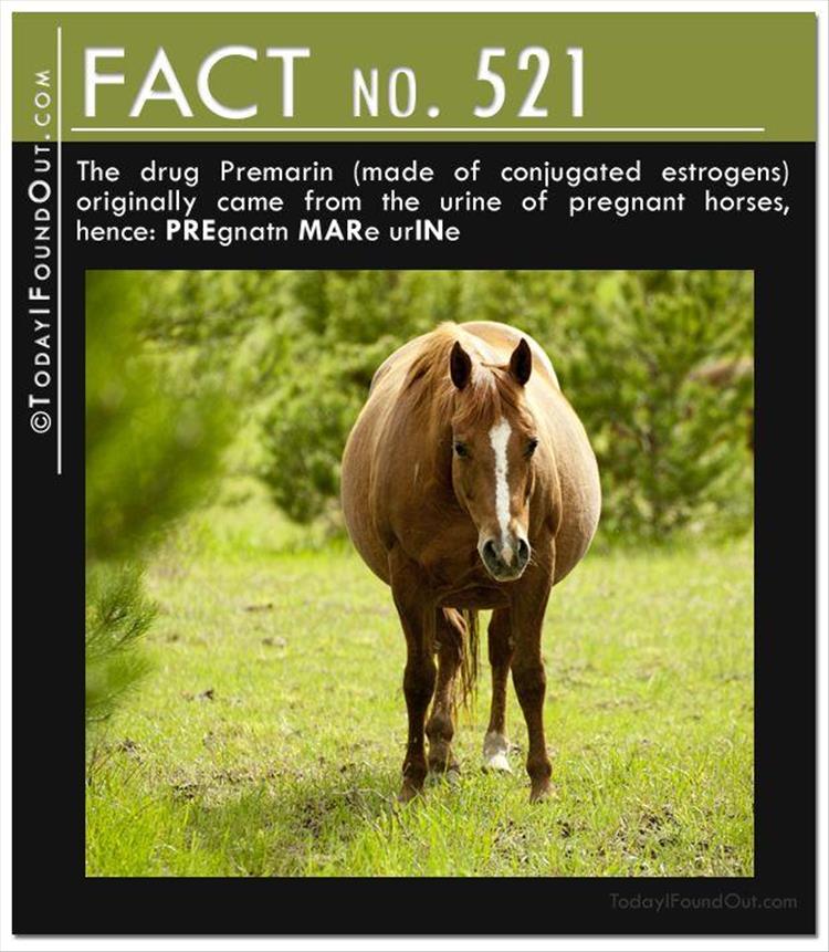 fun-facts-6.jpg
