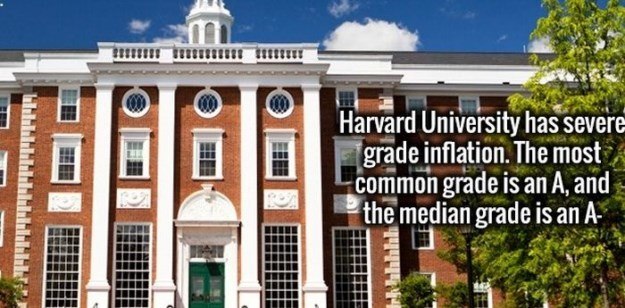 Fun Facts That You're Going To Learn Today 022.jpg