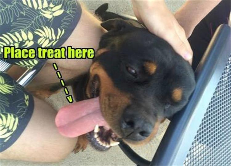 funny-119.jpg