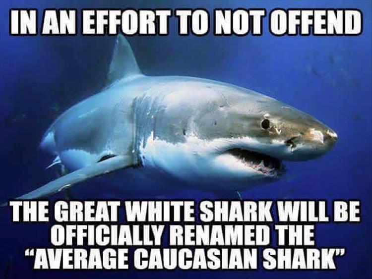 funny-1210.jpg