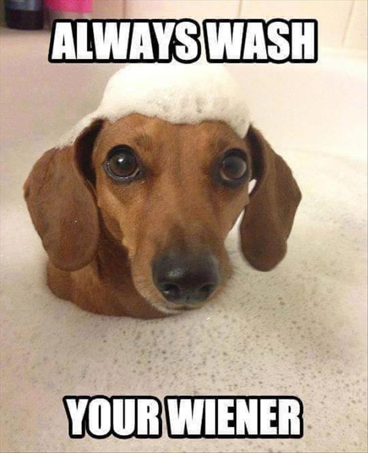 funny-147.jpg