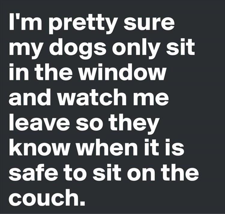 funny-169.jpg