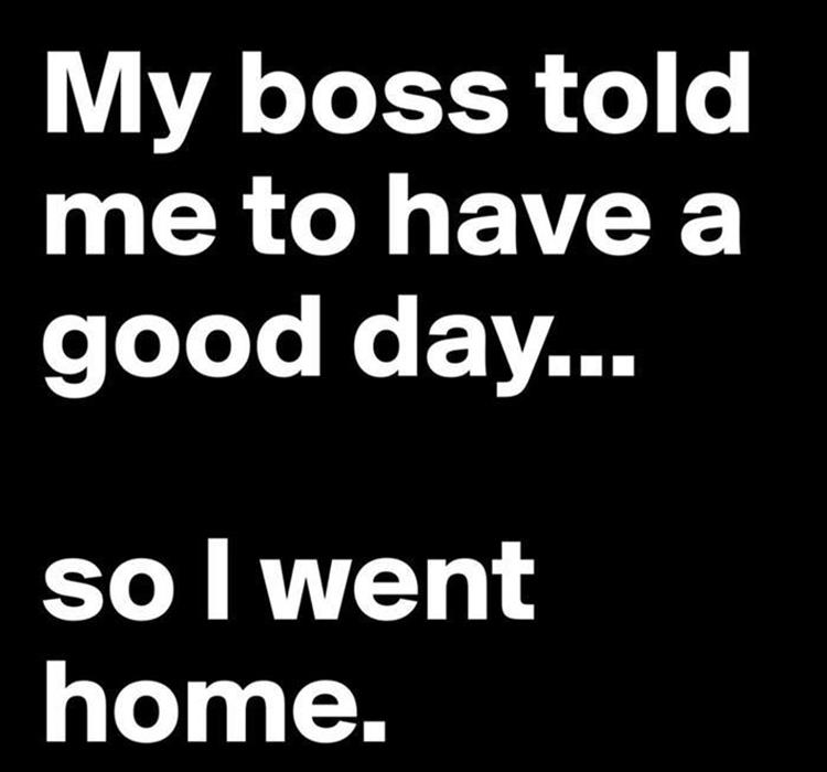 funny-433.jpg