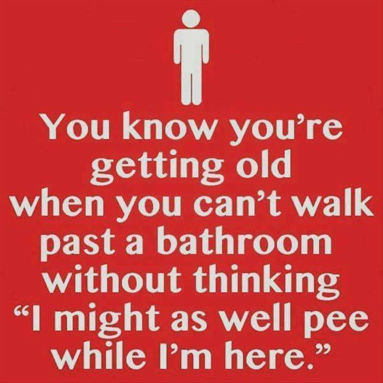 funny-712.jpg