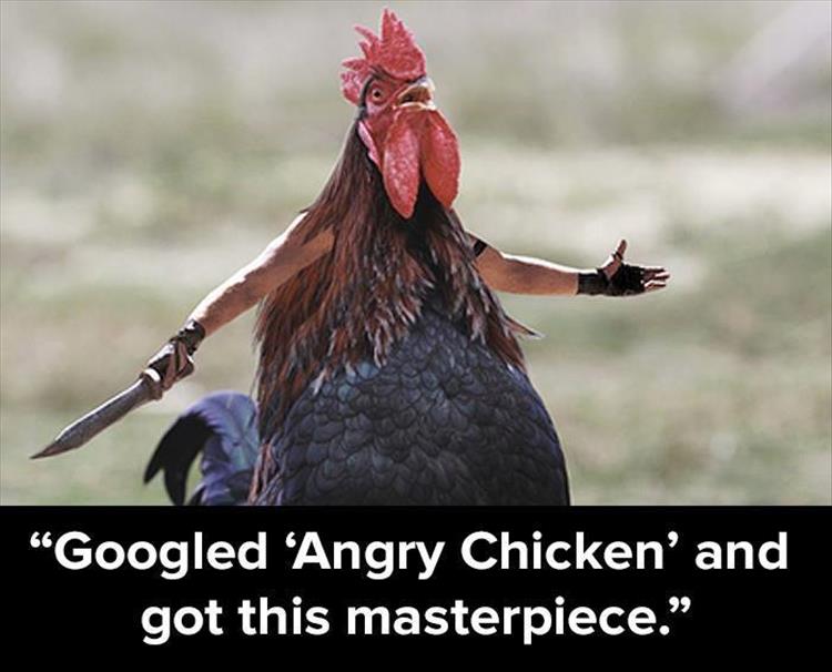 funny-animals-419.jpg