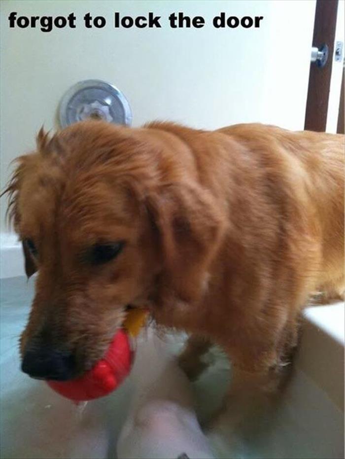 funny-animals-63.jpg