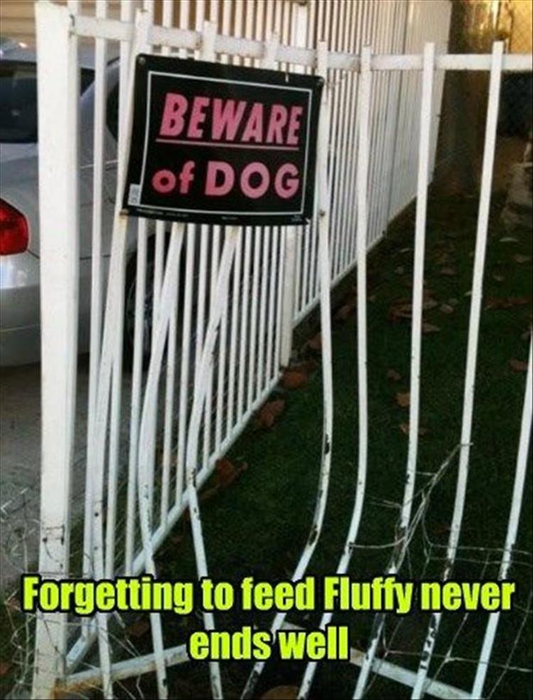 funny-animals-89.jpg