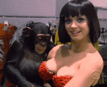 funny-animated-gifs-1.gif