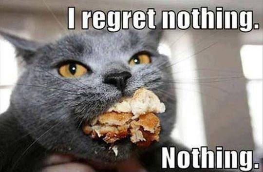 Funny-cat-meme-Cake.jpg