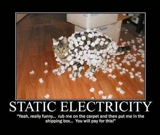 funny-cat-static-electricity.jpg