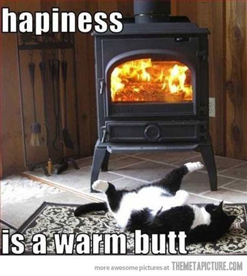 funny-cat-stove-warm-butt.jpg