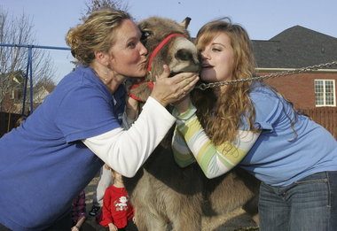 Funny Donkey Kissing_7.jpg