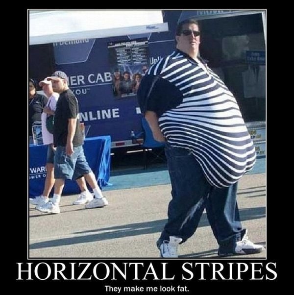 funny-fatty.jpg