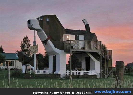 funny-house-creative-houses-designs-world-fun-images-pics-photos-never-seen-26.jpg