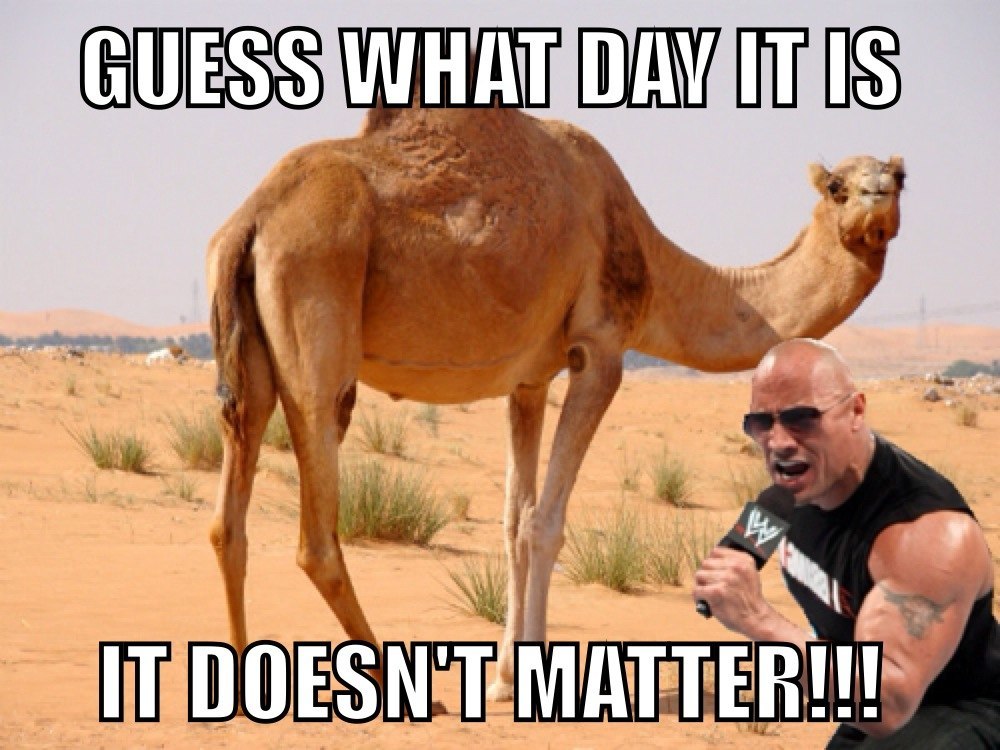 funny-hump-day-pictures.jpg