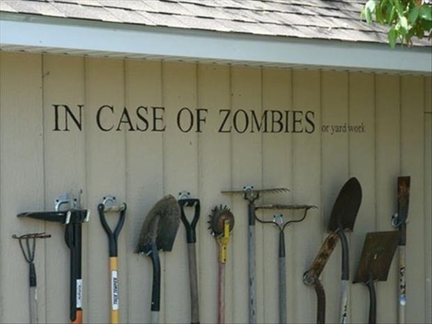 funny-images-dumpaday-291.jpg