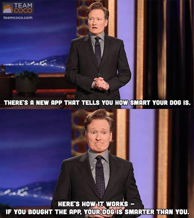 funny-images-from-dumpaday-15.jpg