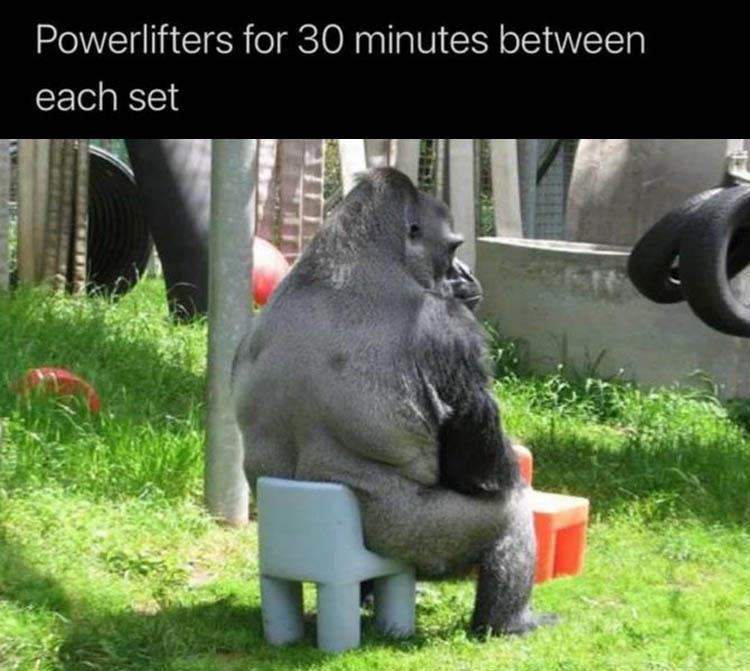funny-meme-4.jpg