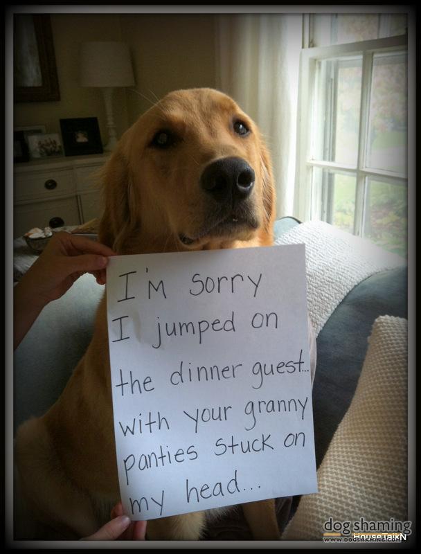 Funny-Pet-Shaming-Pics-10.jpg