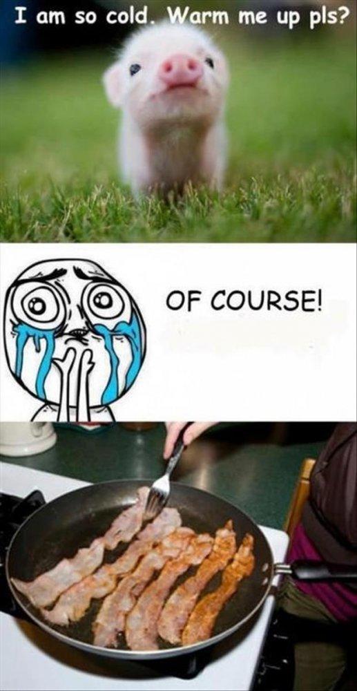 funny-picture-dumps-412.jpg