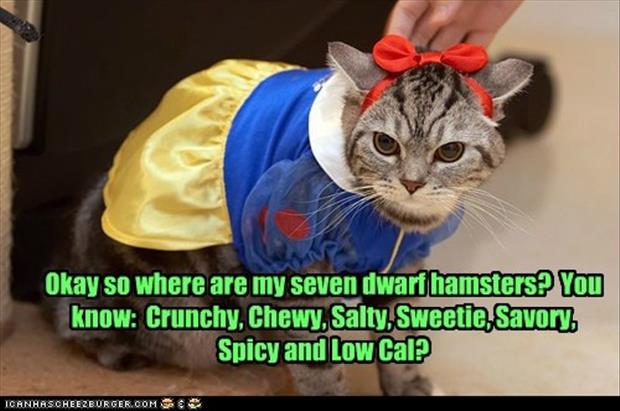 funny-picture-dumps-984.jpg