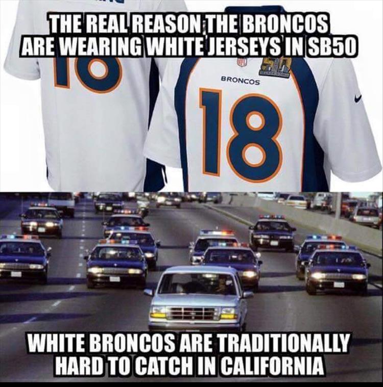 funny-pictures-1.jpg
