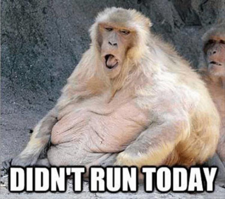 funny-pictures-179.jpg