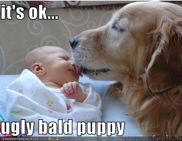 funny-pictures-201.jpg