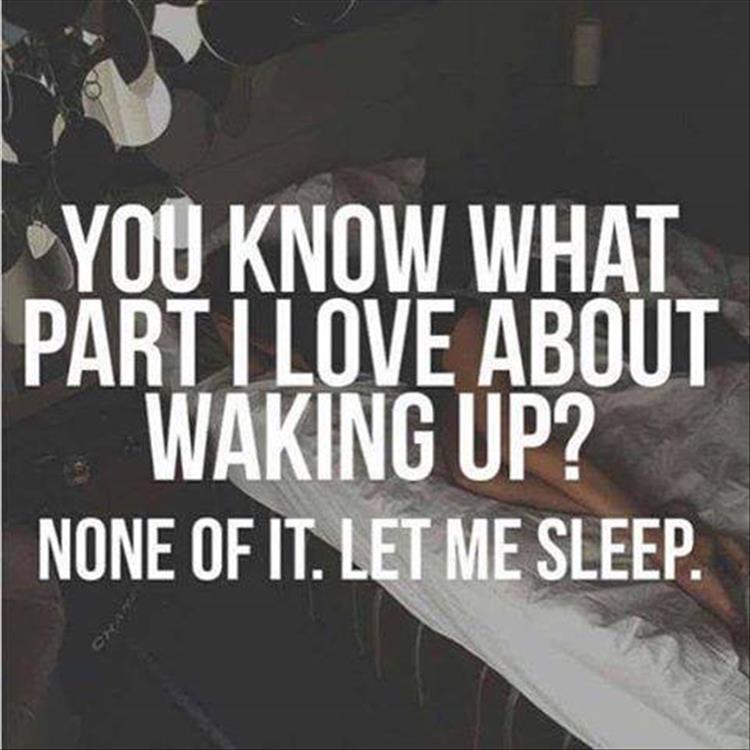 funny-pictures-230.jpg