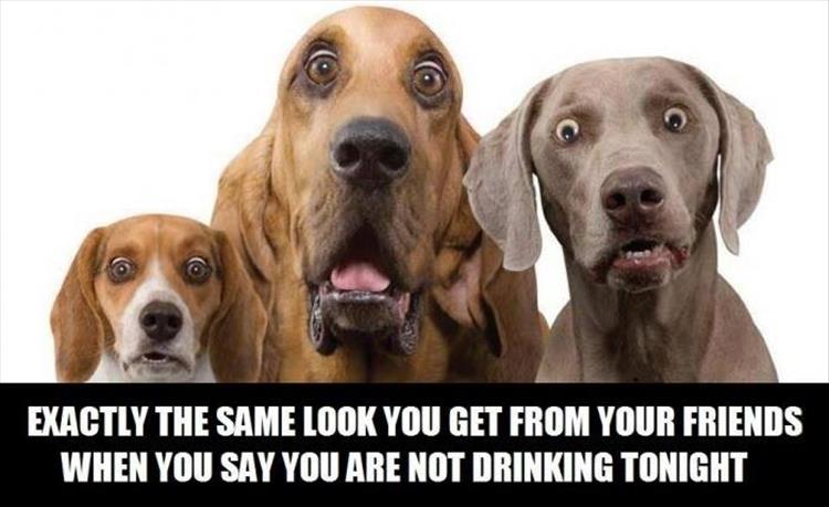 funny-pictures-71.jpg