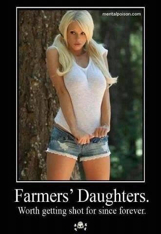 funny-pictures-auto-555365.jpg