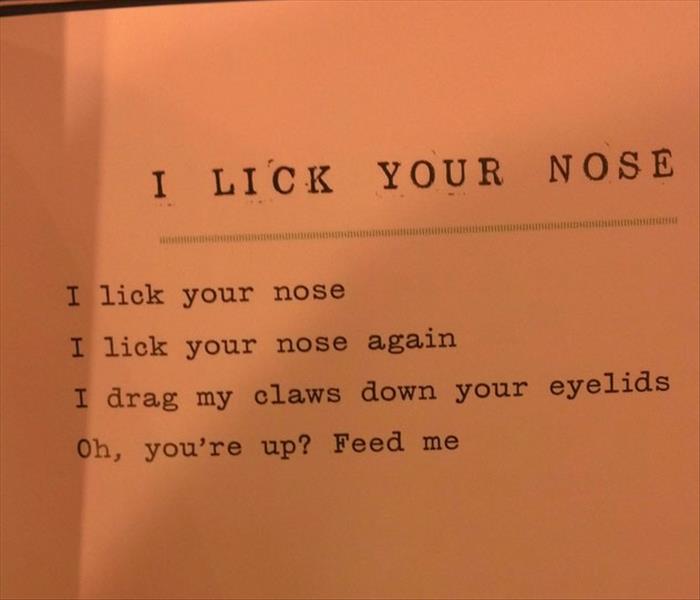 funny-poetry-6.jpg